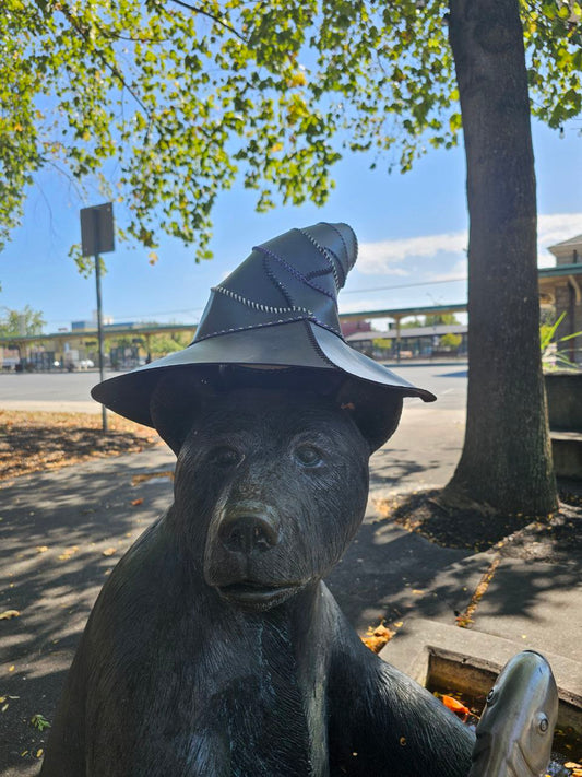 Spell Casting Hat